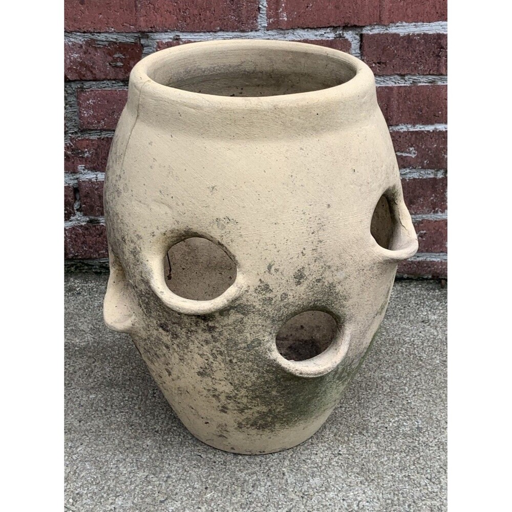 Vintage Weathered Strawberry Herb Pot Planter Hen Chicks Succulent Old Pottery